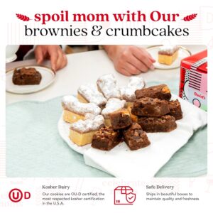 David's Cookies Assorted Brownies & Crumb Cake Gift Tin, 3Lbs - Fresh Baked Chocolate Fudge Slices and Brownies - Delicious Gourmet Snack Gift Basket for Mom, Women, or Any Special Occasion