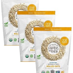 Gourmet Kitchn One Degree Organic Sprouted Rolled Oats, 3 Pack (5 lb Each Pouch, 15 lbs Total) - Family Size - Gluten-Free, Non-GMO, Plant-Based, Vegan