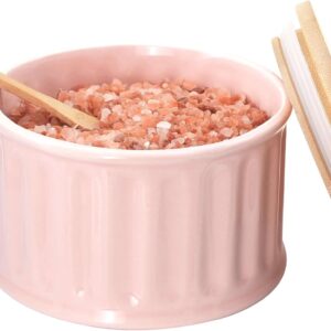 Ceramic Condiment Pot with Bamboo Lid - 17oz Multi-purpose Seasoning Container for Salt, Sugar, Spices - Modern Striped Kitchen Countertop Storage Jar (Pink)